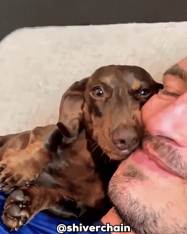Dog Puppy GIF
