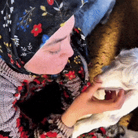 Doğa GIF