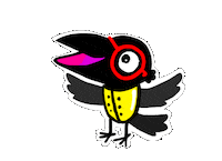 Koki Galerija Sticker
