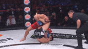 Lets Go Win GIF by Dillon Danis