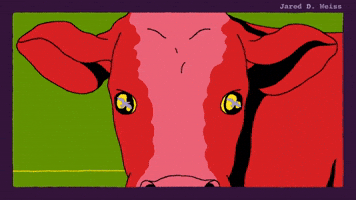 Out of Pasture - Bird Eyes