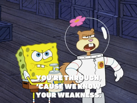 season 8 GIF by SpongeBob SquarePants