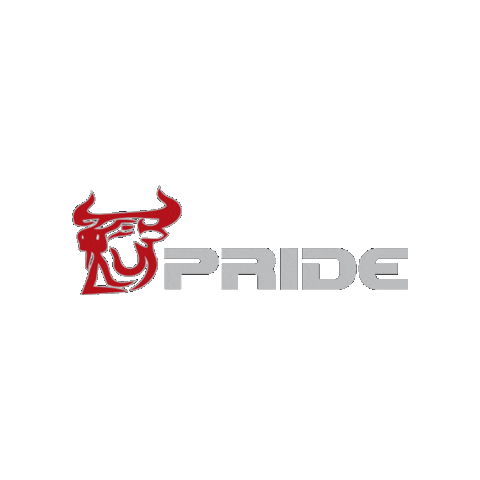 BaldwinSchoolPR giphygifmaker baldwinschool bullspride baldwinschoolpr Sticker