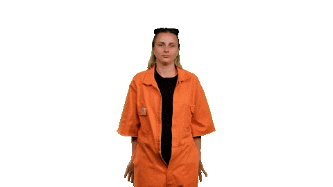 New Zealand Win Sticker by ZM