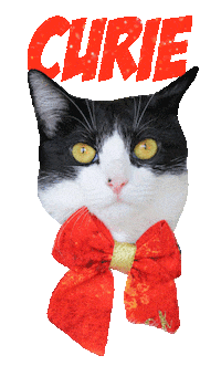 Cat Curie Sticker