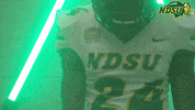 North Dakota State Johnson GIF by NDSU Athletics
