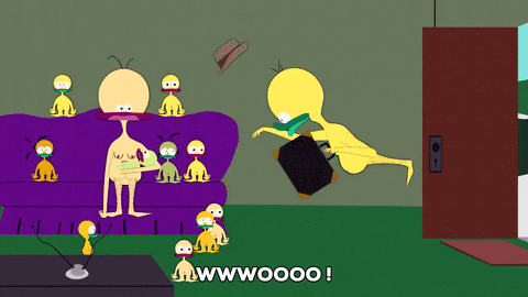 couch falling GIF by South Park 