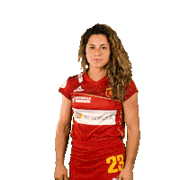 RFEH iberdrola rfeh hockey españa redsticks Sticker
