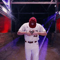 Home Run Celebration GIF by Gamecock Athletics