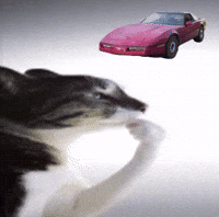 C4 Corvette GIF