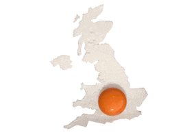 egg Sticker by The Eggshibit