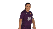 Football Alia Sticker by ACF Fiorentina