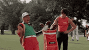 golfkicks  GIF