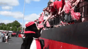 youngstown state university ysu GIF