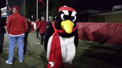 mascot penguin GIF by Youngstown State University