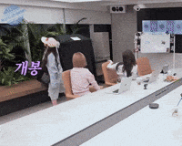 Ha GIF