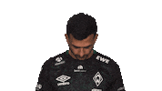Werder Predator Sticker by Bundesliga