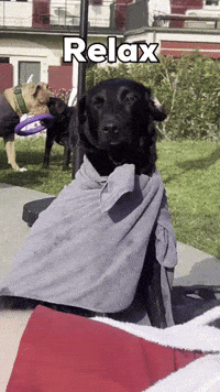 Oreopawsup relax estate oreo cane GIF