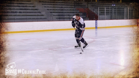 happy ice hockey GIF by Robert Morris University Athletics