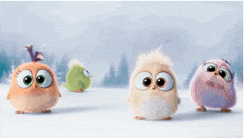 Hatchlings Licking GIF by Angry Birds