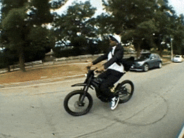 Wolf Bass GIF by IDK
