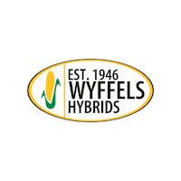 Corn Sticker by Wyffels Hybrids