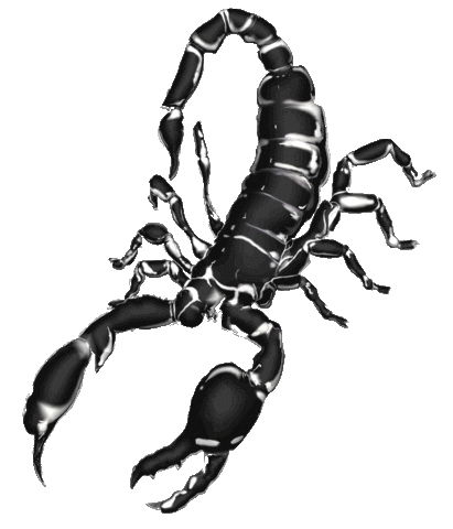 dream scorpio Sticker by MSGM