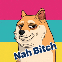 Shiba Inu Lol GIF by Doge Pound