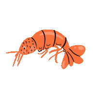 Orange Ocean Sticker