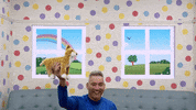 Happy Fun GIF by The Wiggles