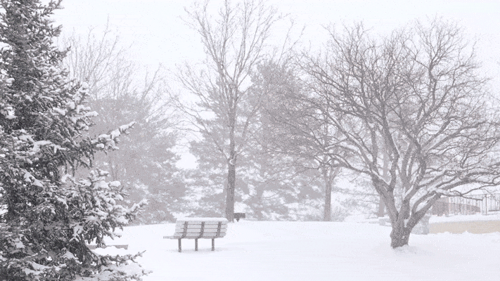 snow winter GIF