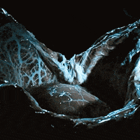 ridley scott egg GIF by 20th Century Fox Home Entertainment