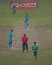 Cricket GIF