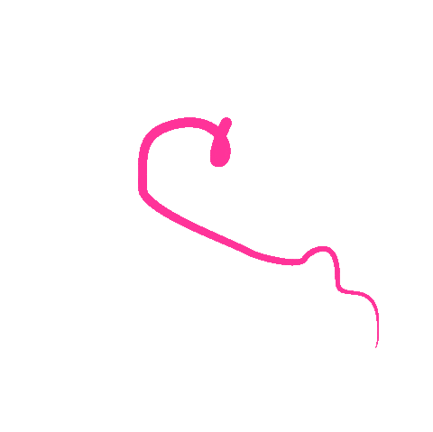 Pink Love Sticker