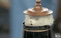 Scared Cat GIF by ANTIQUES ROADSHOW | PBS