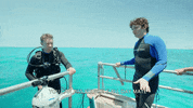 Shark Week Immersion GIF by Shark Week