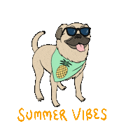Summer Summervibes Sticker