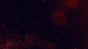 Vintage Album GIF by Elise LeGrow