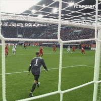 fcbayern football soccer bundesliga futbol GIF