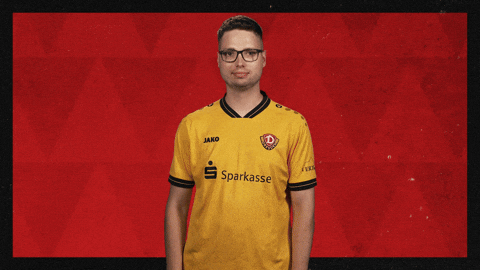 Dynamo Dresden Applause GIF by Bundesliga
