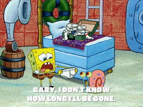 season 5 episode 13 GIF by SpongeBob SquarePants