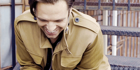 sebastian stan GIF