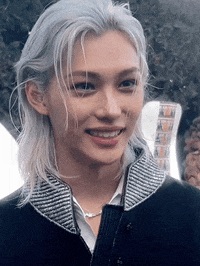 Stray Kids Felix GIF