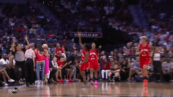 Erica Wheeler GIF by WNBA