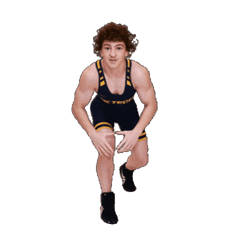 Wrestling Sticker by WVU Tech Golden Bears