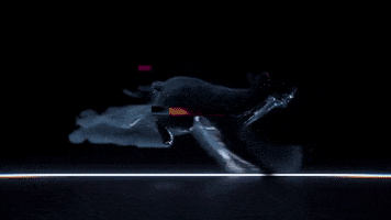 dog 3d GIF by alessiodevecchi