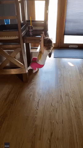 Toddler Works Out at Home in Adorable Video