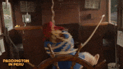 Paddington Bear GIF by STUDIOCANAL