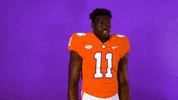 All In What GIF by Clemson Tigers