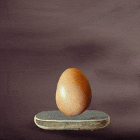 This Is Not A Chicken